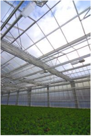greenhouse irrigation